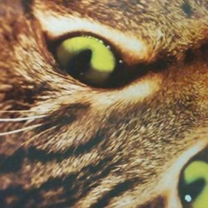 Meet your Posher, Melanie